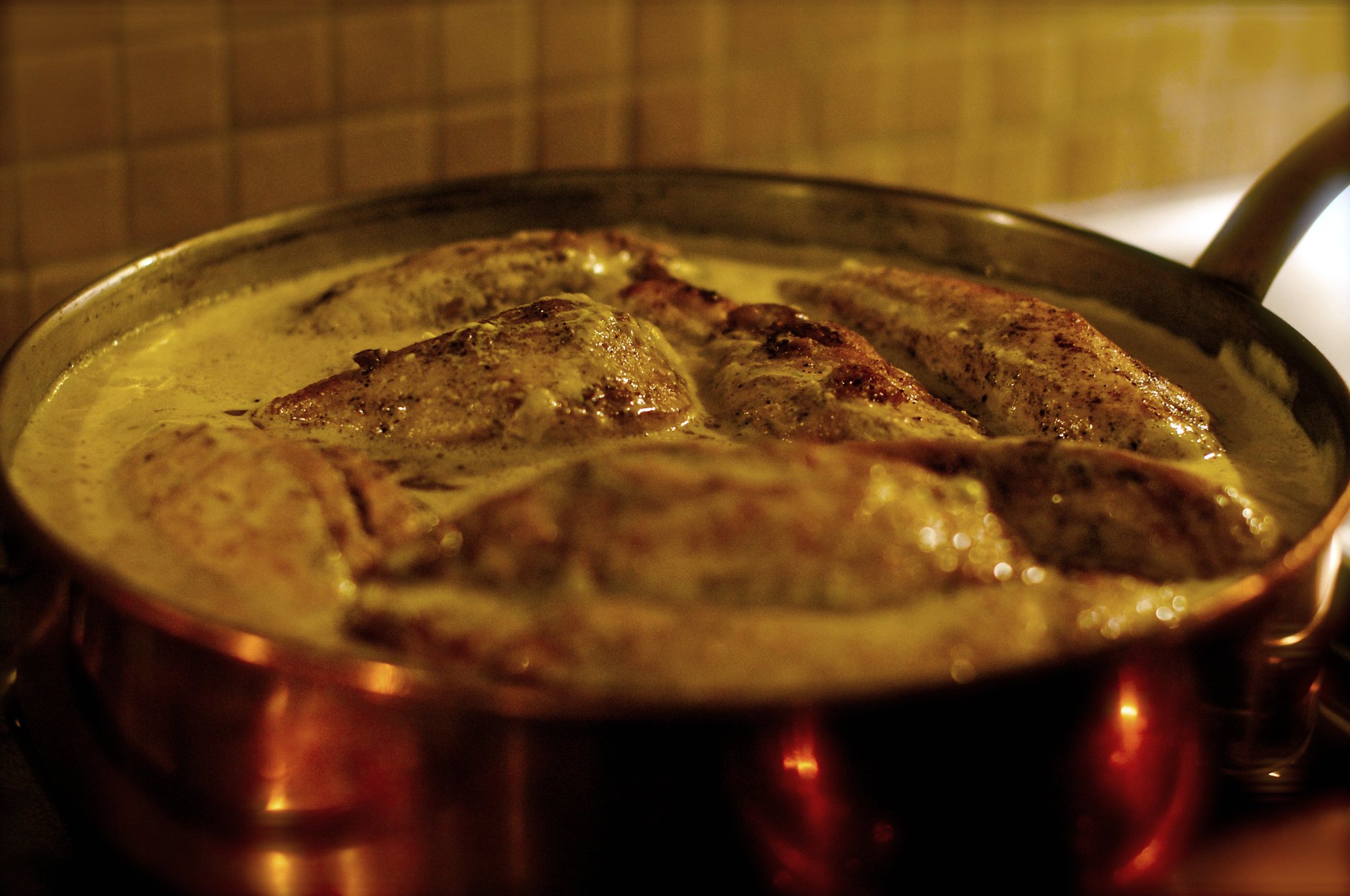 Poulet sauce au curry - Photo de Zdenko Zivkovic - 101Pairing.com