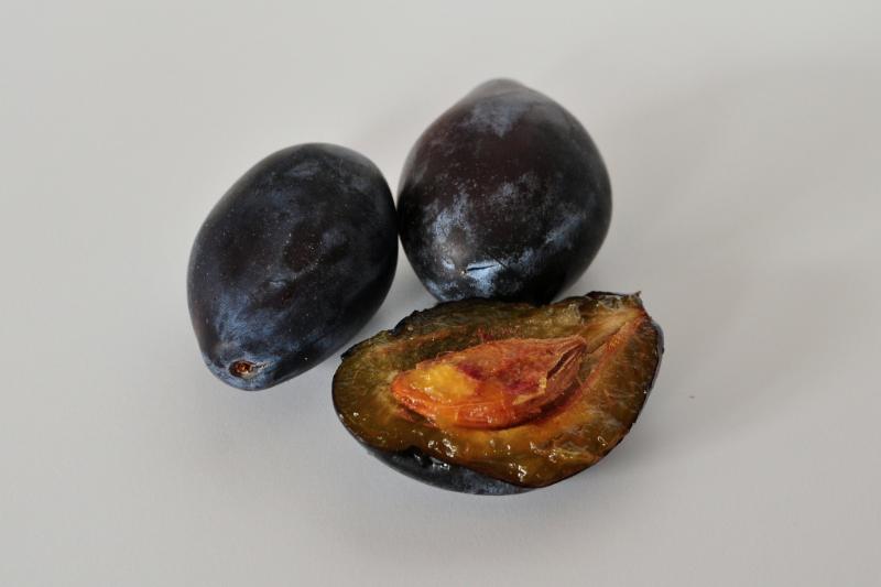 Crumble à la quetsche - Photo de Frédérique Voisin-Demery - 101Pairing.com