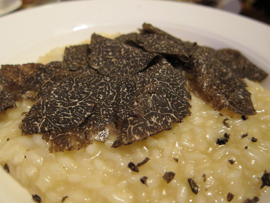 Risotto à la truffe noire - Photo de Mark Mitchell - 101Pairing.com