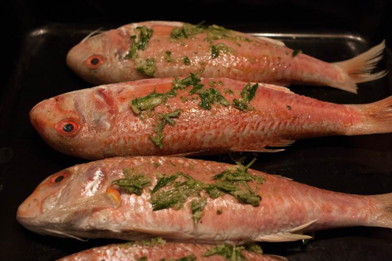 Pâté de rougets à la ratatouille - Photo de Adrian Scottow - 101Pairing.com