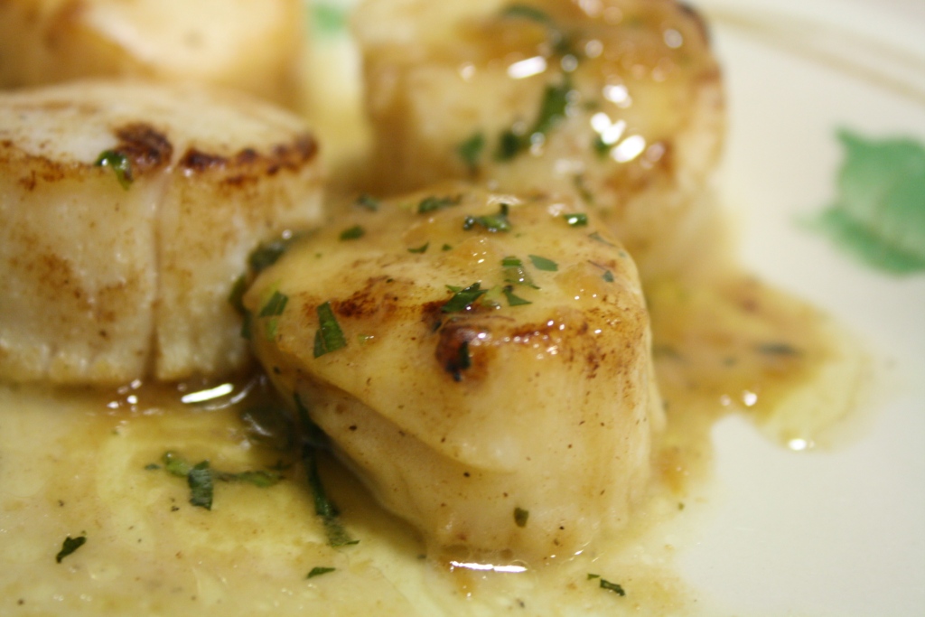 Coquilles Saint-Jacques à l&rsquo;estragon - Photo de jordanmit09 - 101Pairing.com