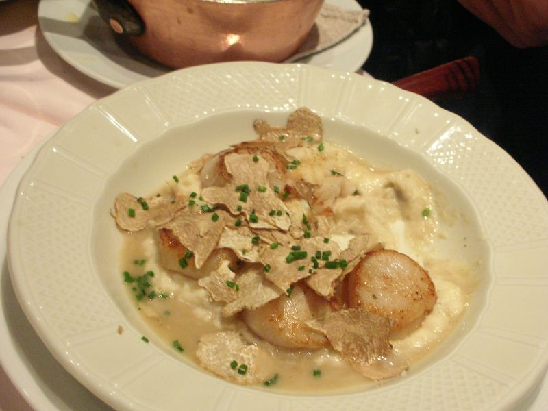 Coquilles Saint-Jacques à la crème de truffe blanche - Photo de Meg Zimbeck - 101Pairing.com