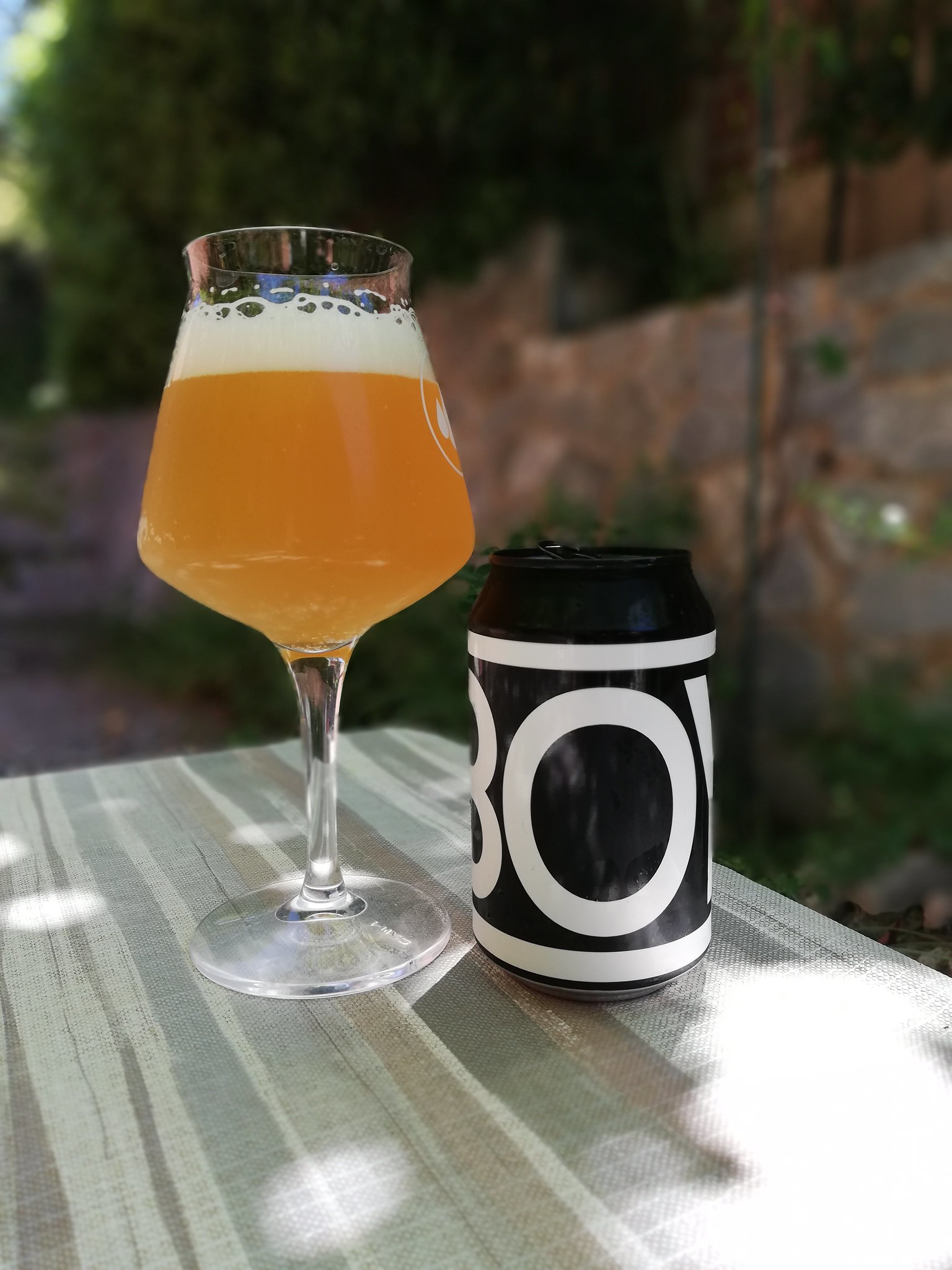 Session India Pale Ale - Bières - Photo de Josep Trepat Font - 101Pairing.com