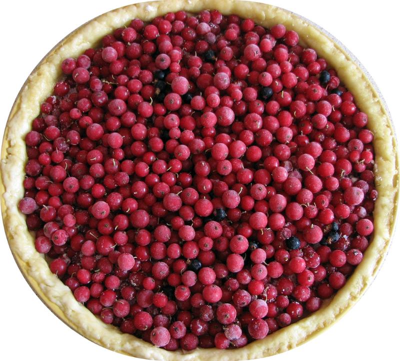 Tarte à la groseille - Photo de jespahjoy - 101Pairing.com