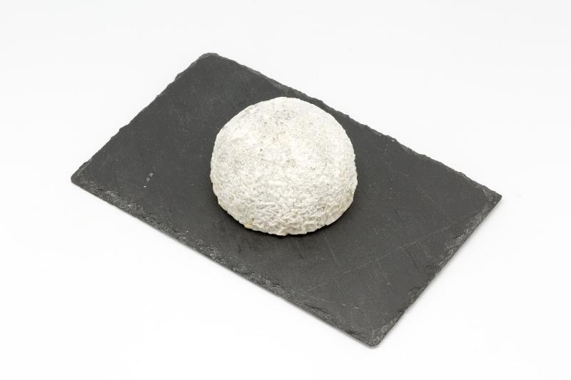 Taupinière - Photo de Pierre-Yves Beaudouin - 101Pairing.com