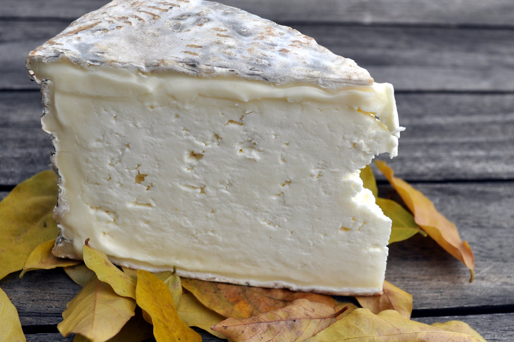Tomme crayeuse - Photo de Frédérique Voisin-Demery - 101Pairing.com