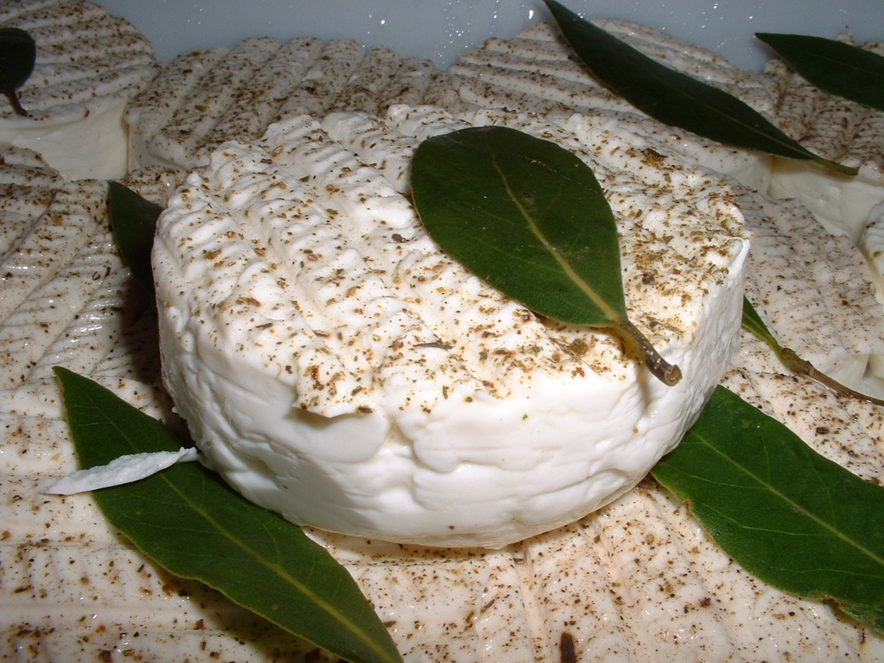 Tomme de Camargue - Photo de Fiorucci - 101Pairing.com