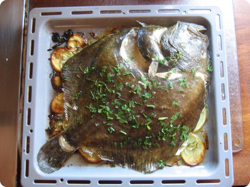 Turbot rôti - Photo de Boca Dorada - 101Pairing.com