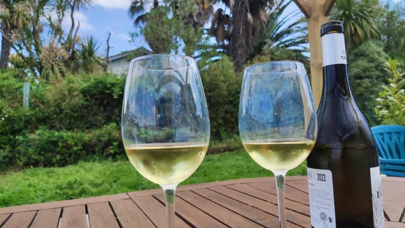 Tursan Blanc - Vins tranquilles blancs - Photo de Sylvain Torchet - 101Pairing.com