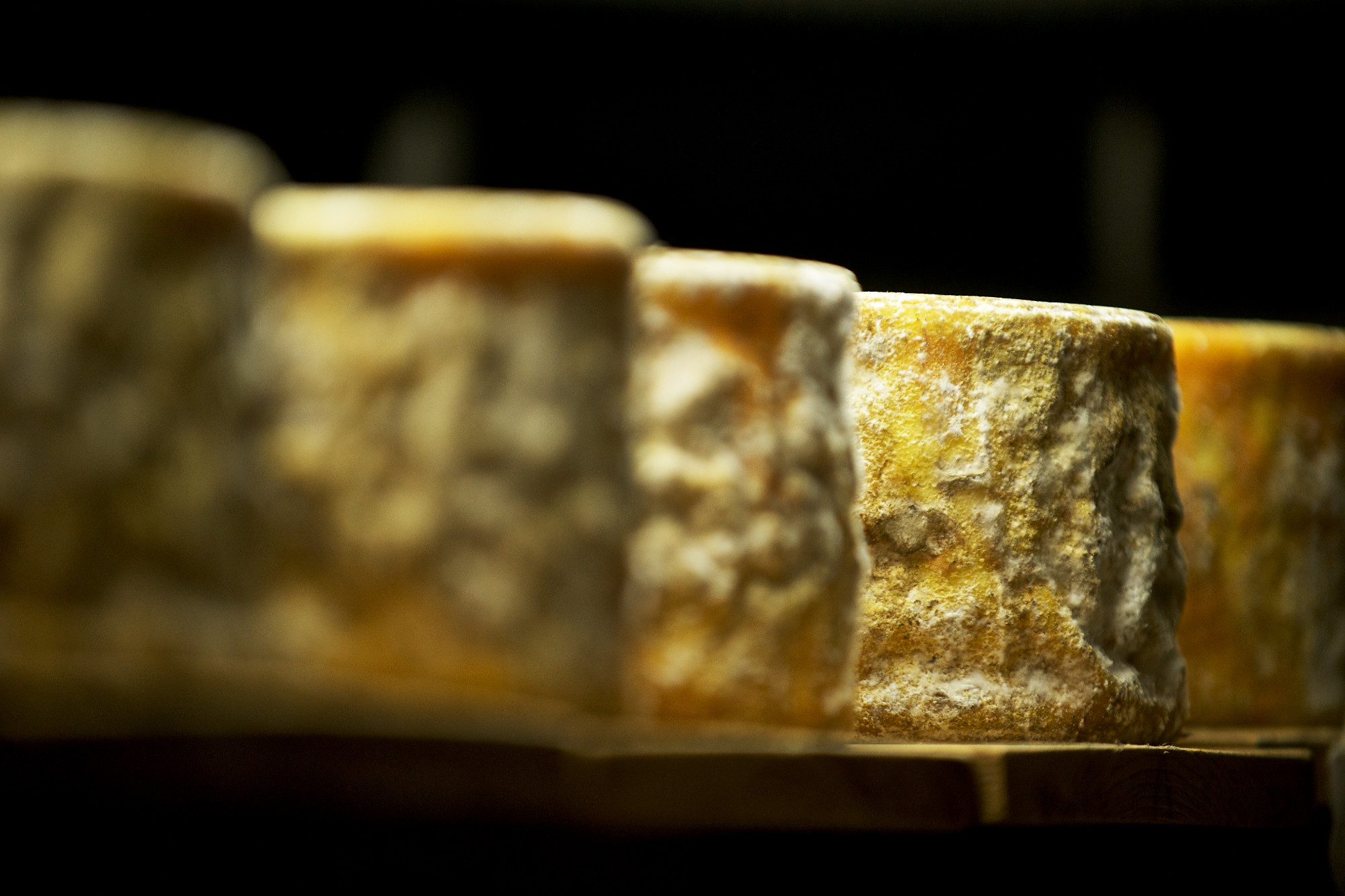 Twig farm goat tomme - Photo de Breville USA - 101Pairing.com