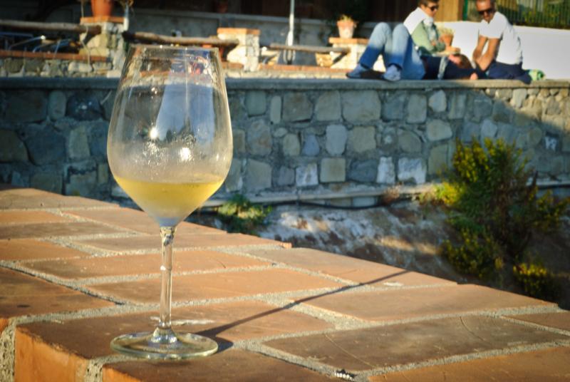 Alsace Grand cru Sylvaner - Vins tranquilles blancs - Photo de Jérôme Decq - 101Pairing.com