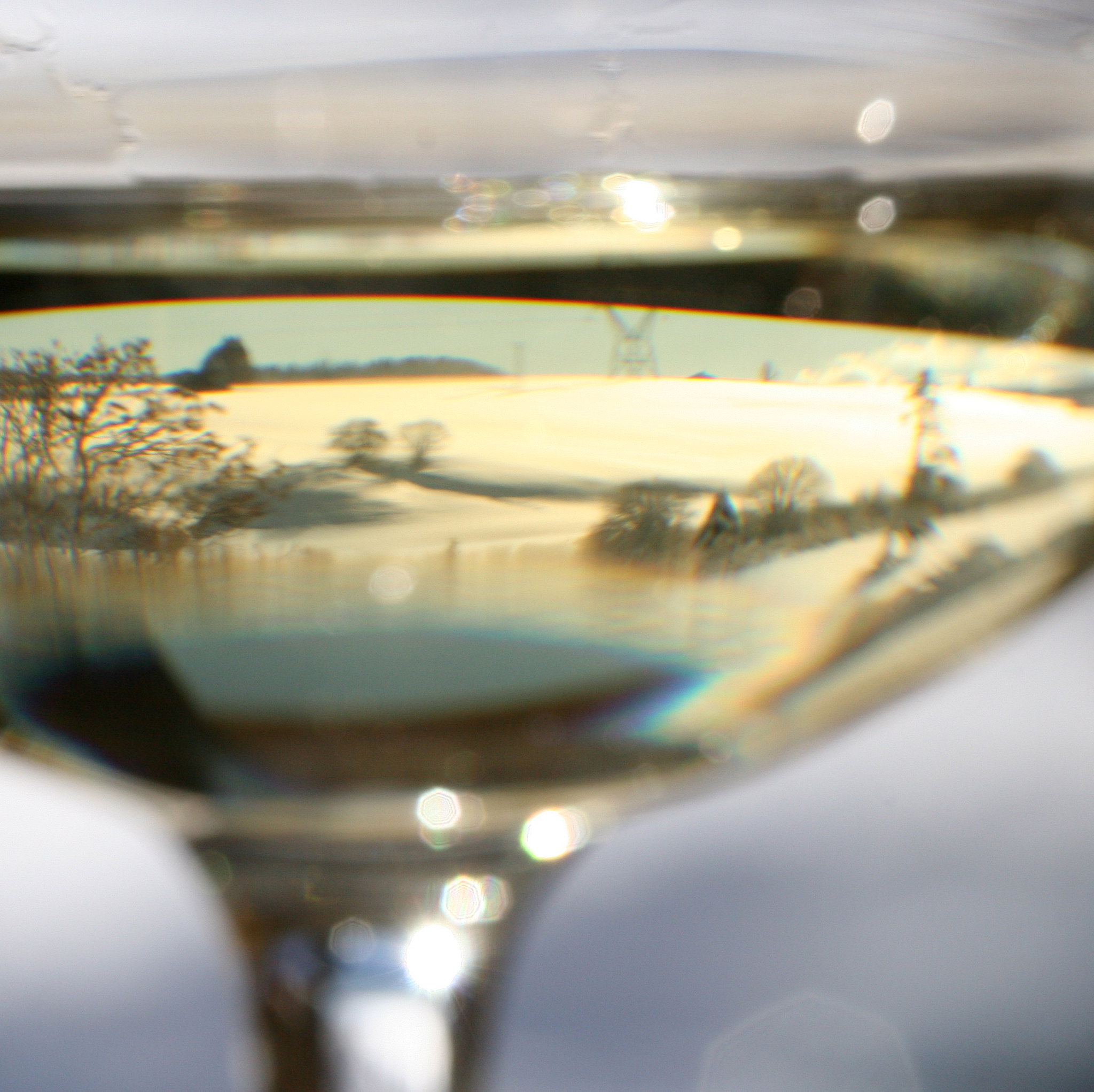 Chablis Grand cru - Vins tranquilles blancs - Photo de jenny downing - 101Pairing.com