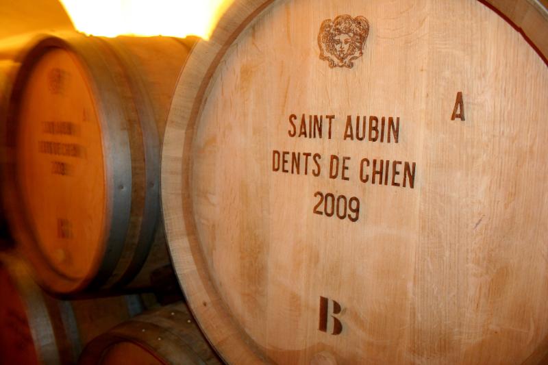 Saint-Aubin Premier cru Blanc - Vins tranquilles blancs - Photo de Megan Cole - 101Pairing.com