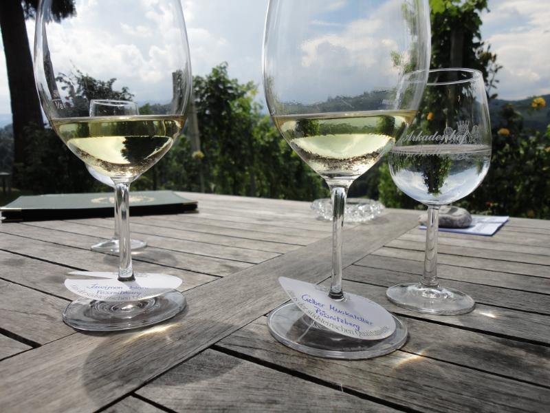 Alsace Muscat - Vins tranquilles blancs - Photo de © Peter Sitte, Austria - 101Pairing.com
