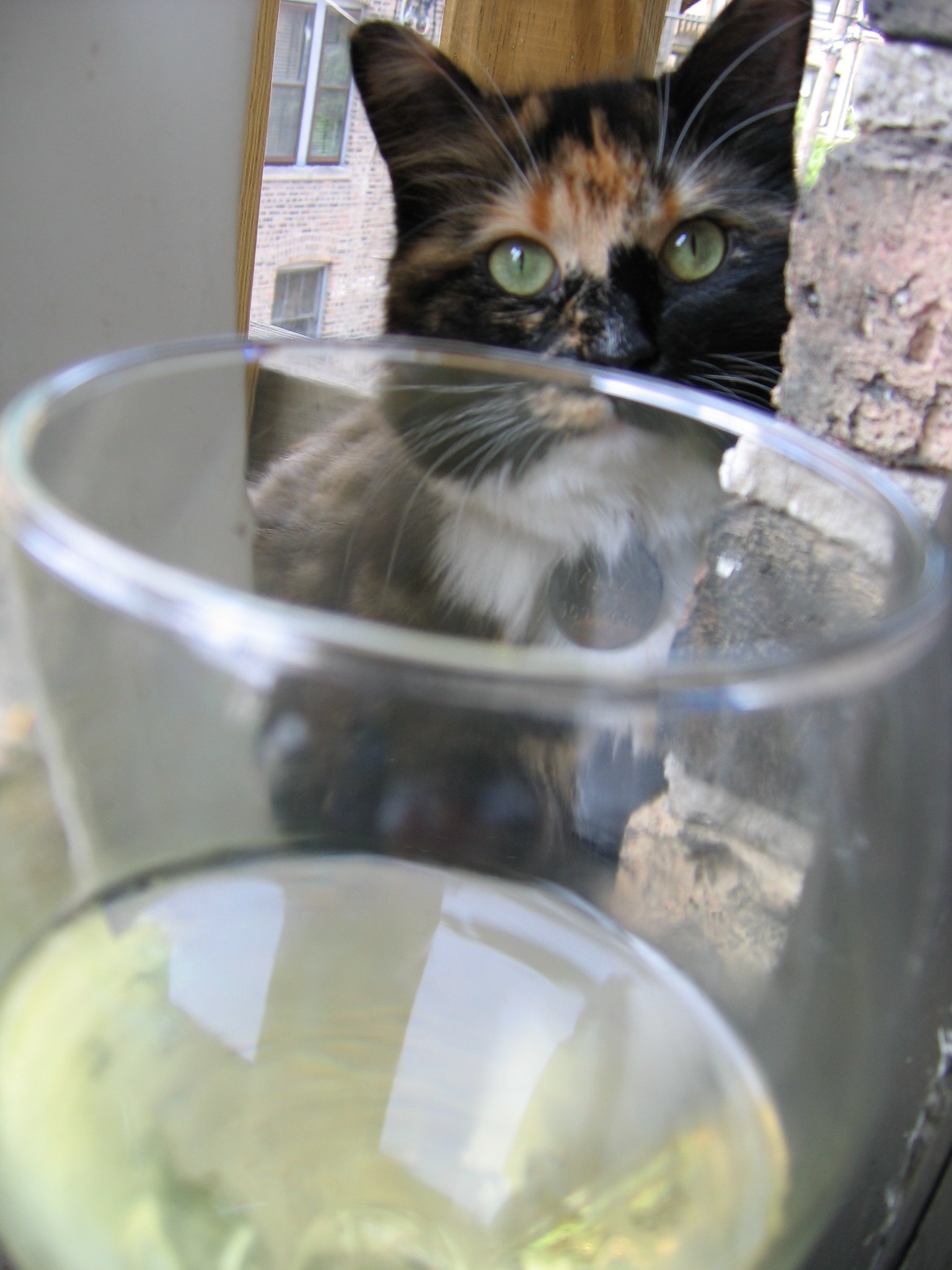 Béarn Blanc - Vins tranquilles blancs - Photo de Quinn Dombrowski - 101Pairing.com