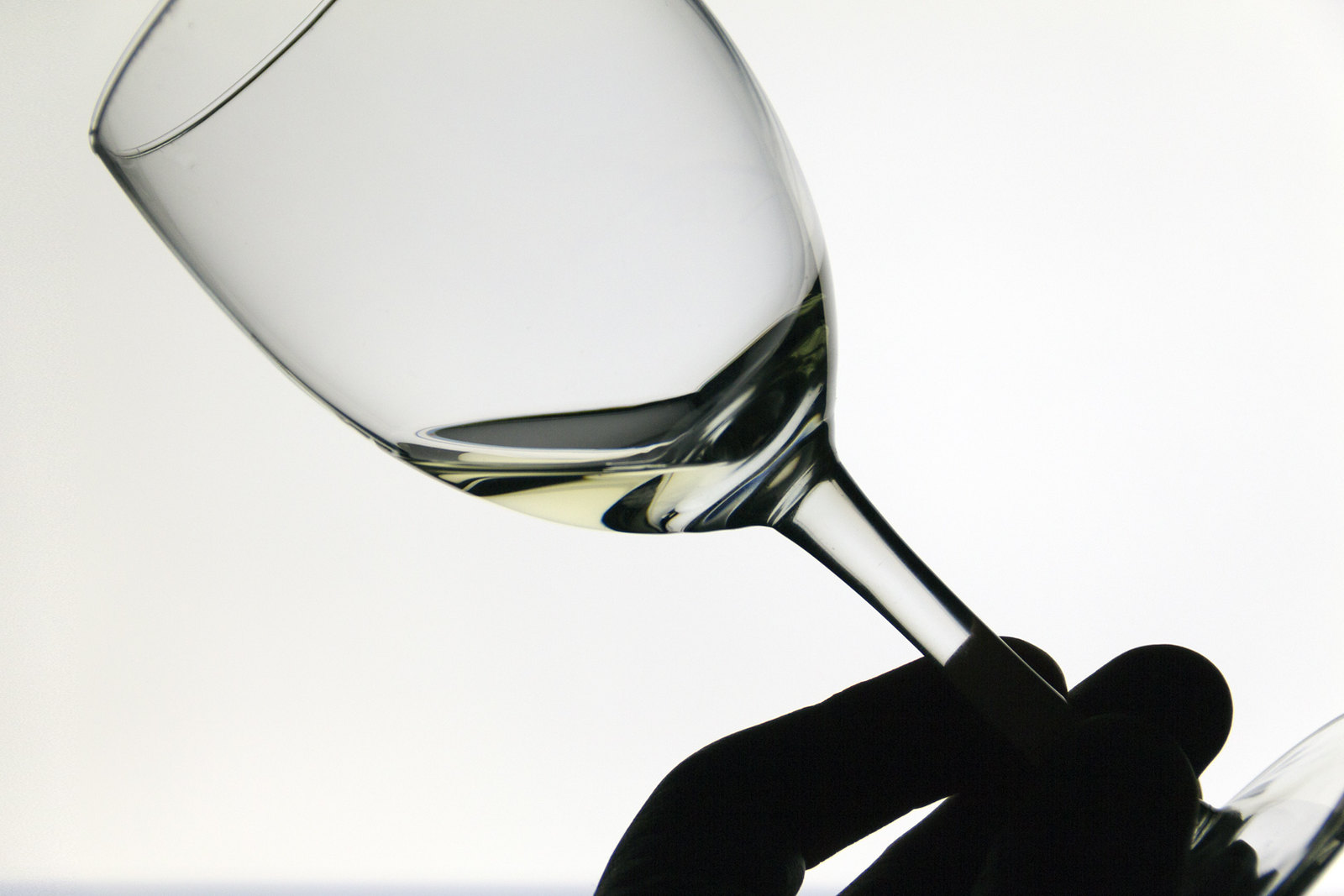 Condrieu Sec - Vins tranquilles blancs - Photo de Northsky71 - 101Pairing.com