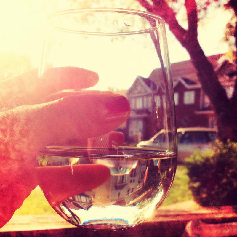 Vin de Savoie Chignin Blanc - Vins tranquilles blancs - Photo de ellevalentine - 101Pairing.com