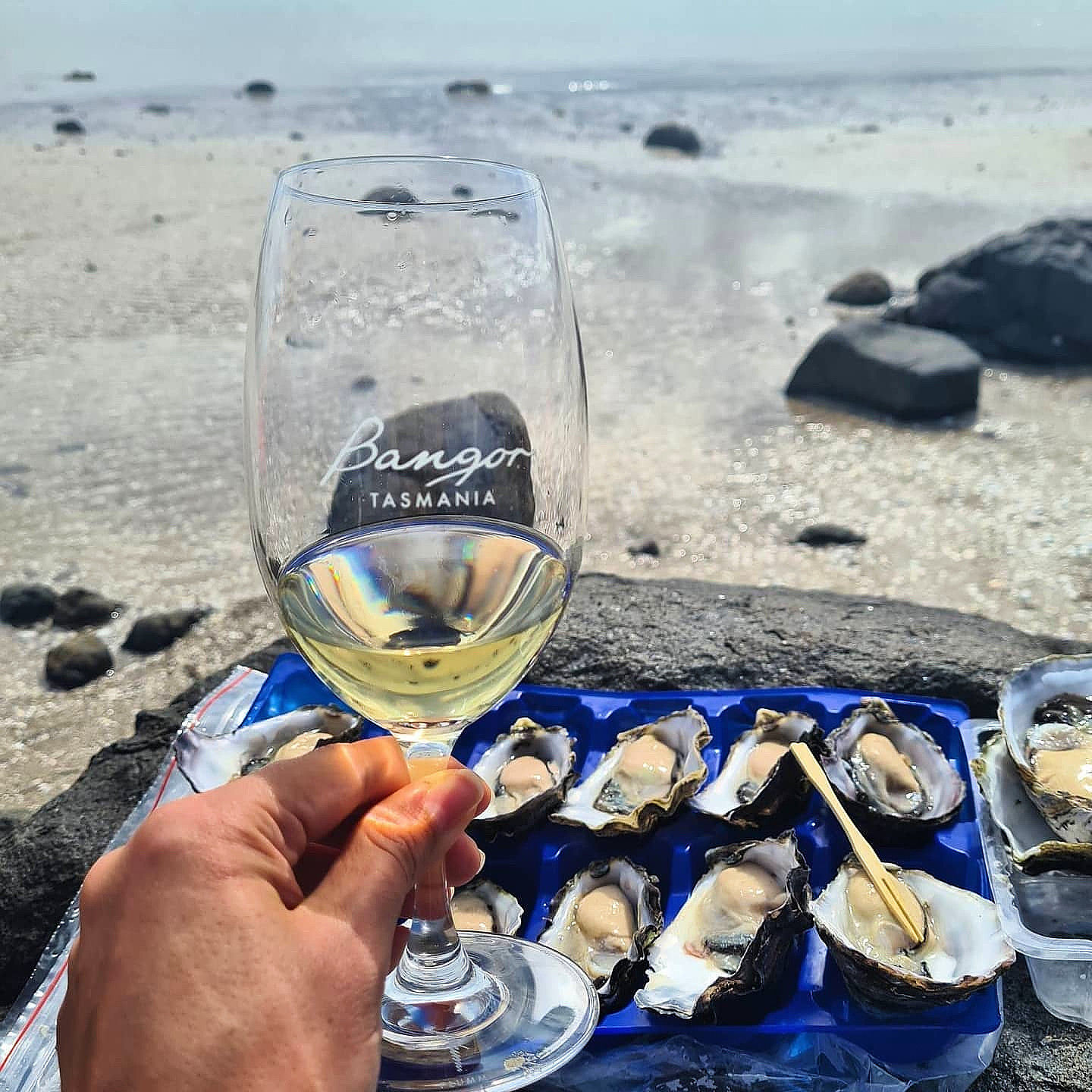 Coteaux champenois Blanc - Vins tranquilles blancs - Photo de Bangor Vineyard Shed - 101Pairing.com