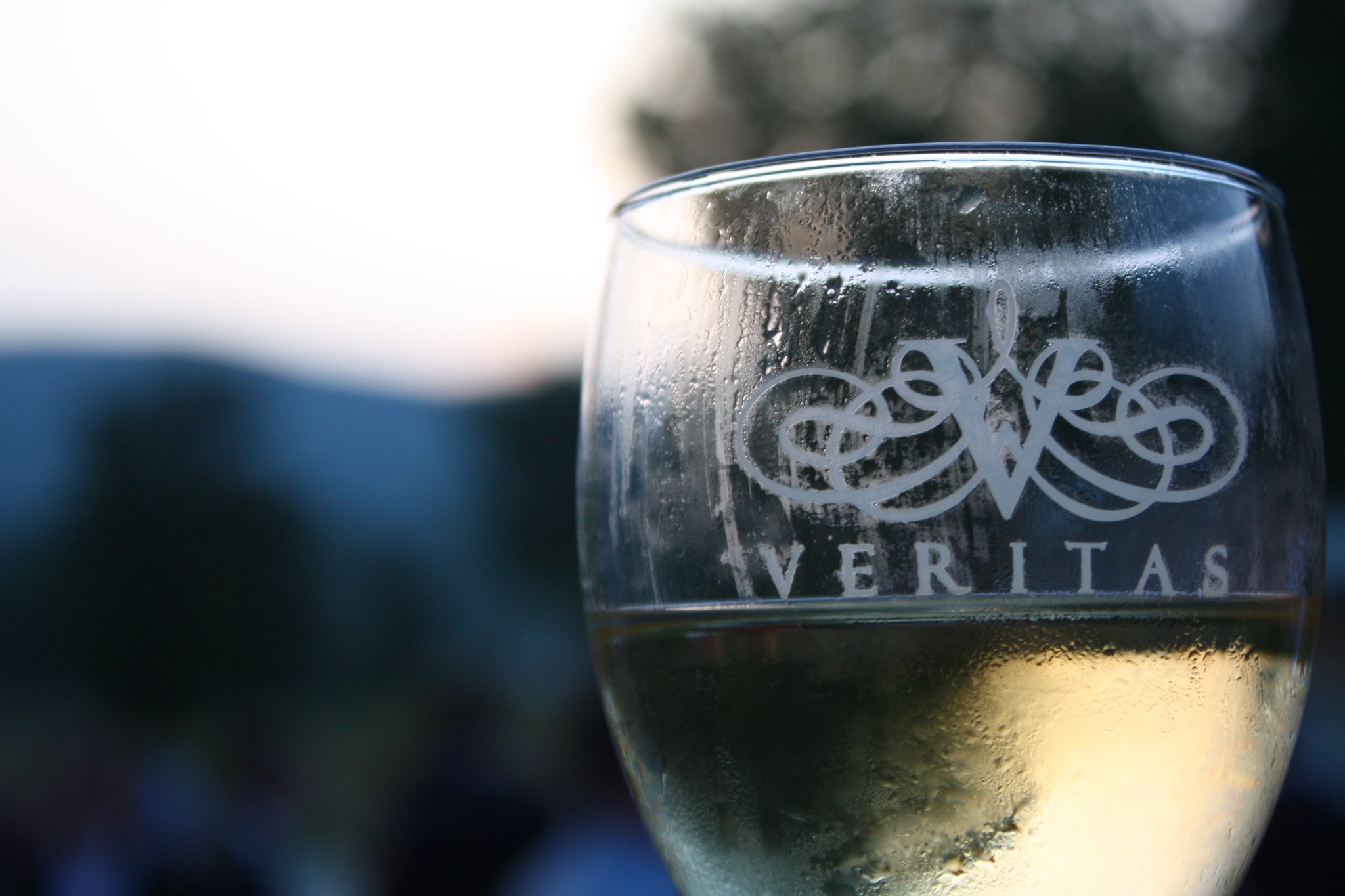 Bugey Manicle Blanc - Vins tranquilles blancs - Photo de alison fayre - 101Pairing.com