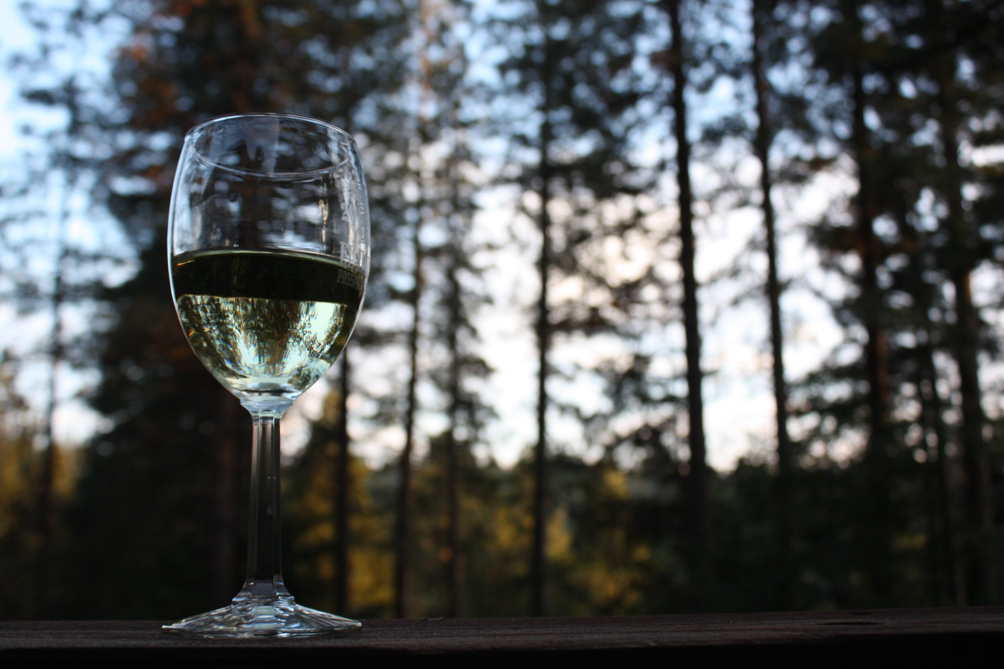 Seyssel Sec - Vins tranquilles blancs - Photo de alison fayre - 101Pairing.com