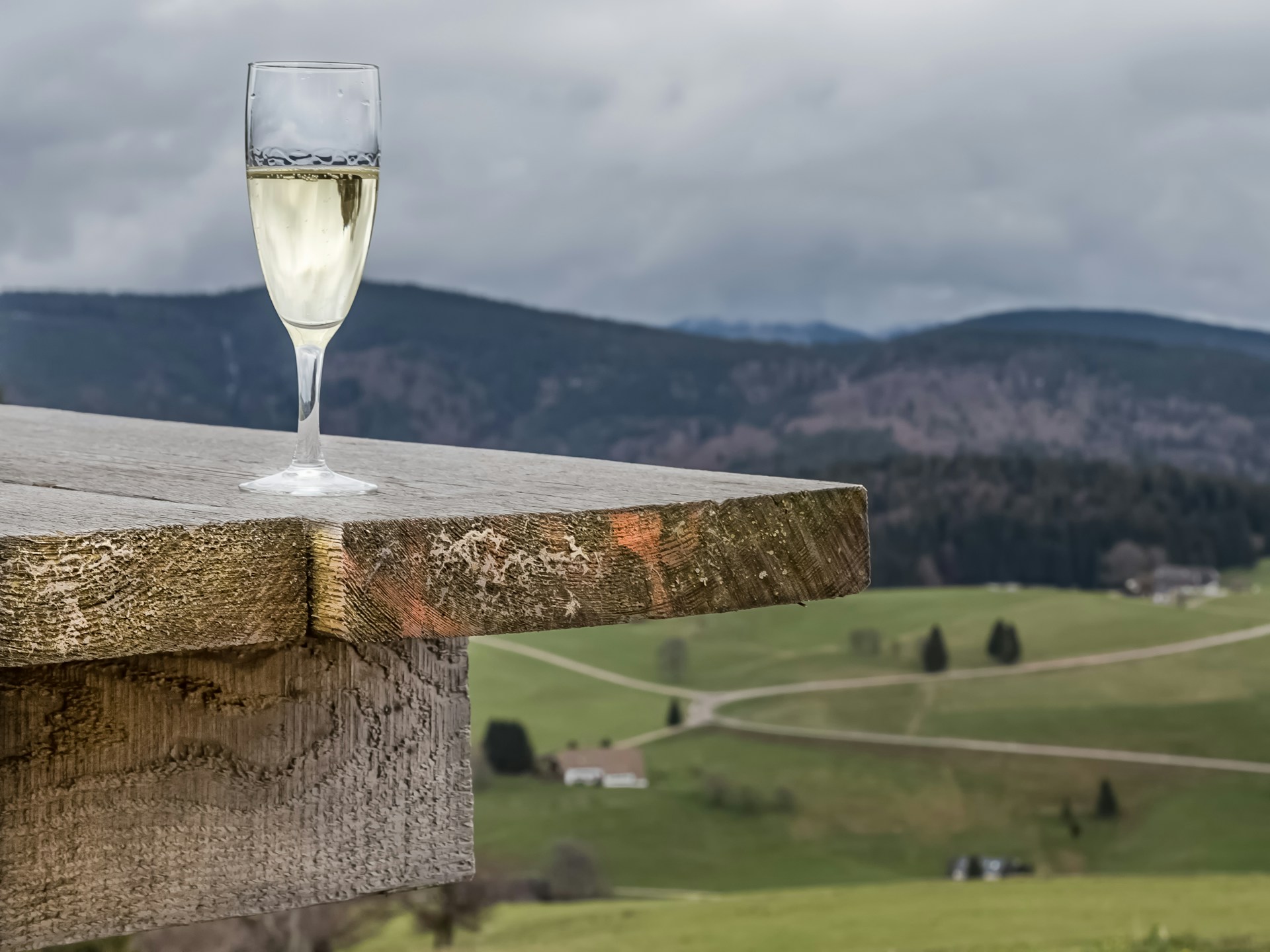 Roussette de Savoie Marestel - Vins tranquilles blancs - Photo de Dick Saunders - 101Pairing.com