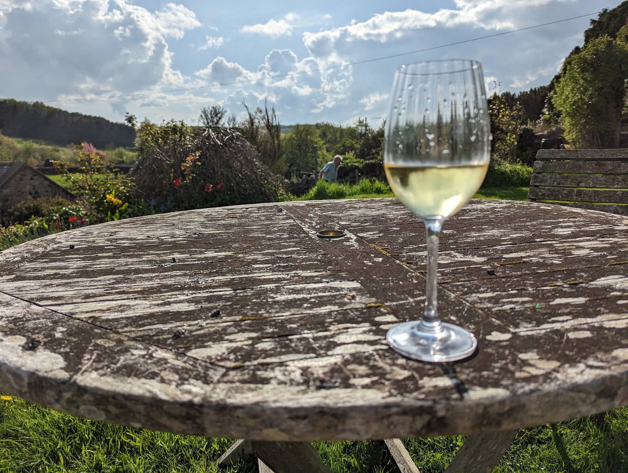 Anjou demi-sec - Vin(s) tranquille(s) blanc(s) - Photo de alljengi - 101Pairing.com