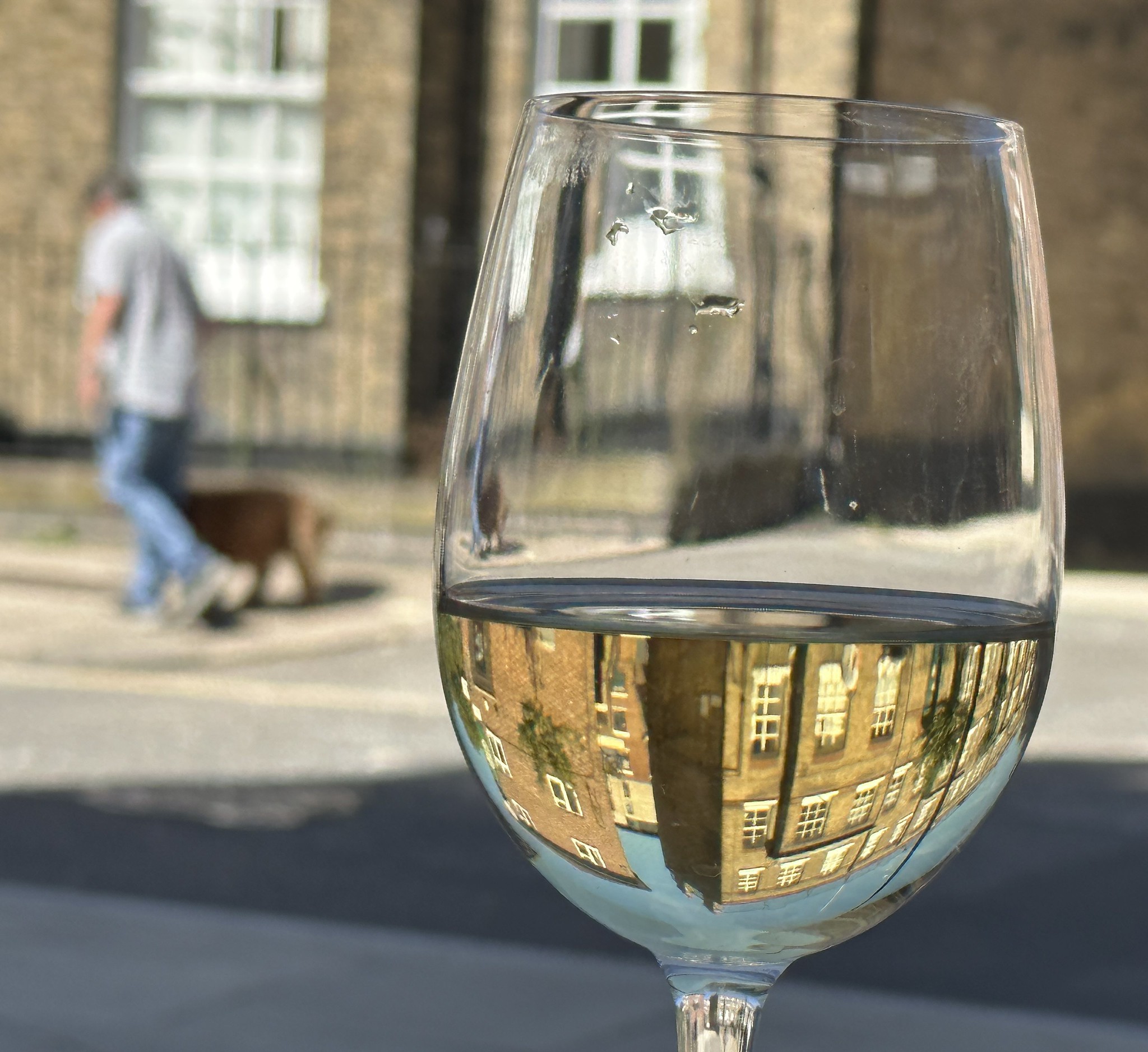 Côtes du Roussillon Blanc primeur - Vin(s) tranquille(s) blanc(s) - Photo de Matt Brown - 101Pairing.com