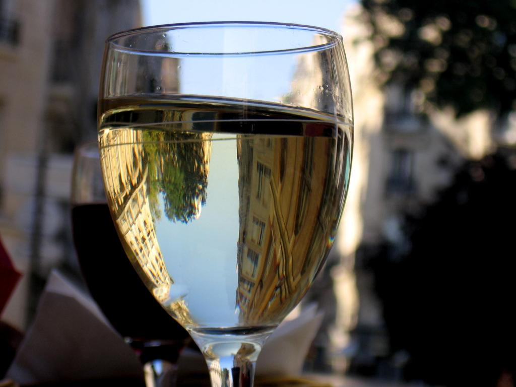 Gros Plant du Pays Nantais sur lie - Vin(s) tranquille(s) blanc(s) - Photo de Paolo Crosetto - 101Pairing.com