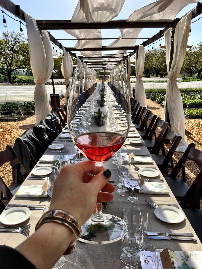 Cassis Rosé - Vins tranquilles rosés - Photo de Sarah Stierch - 101Pairing.com