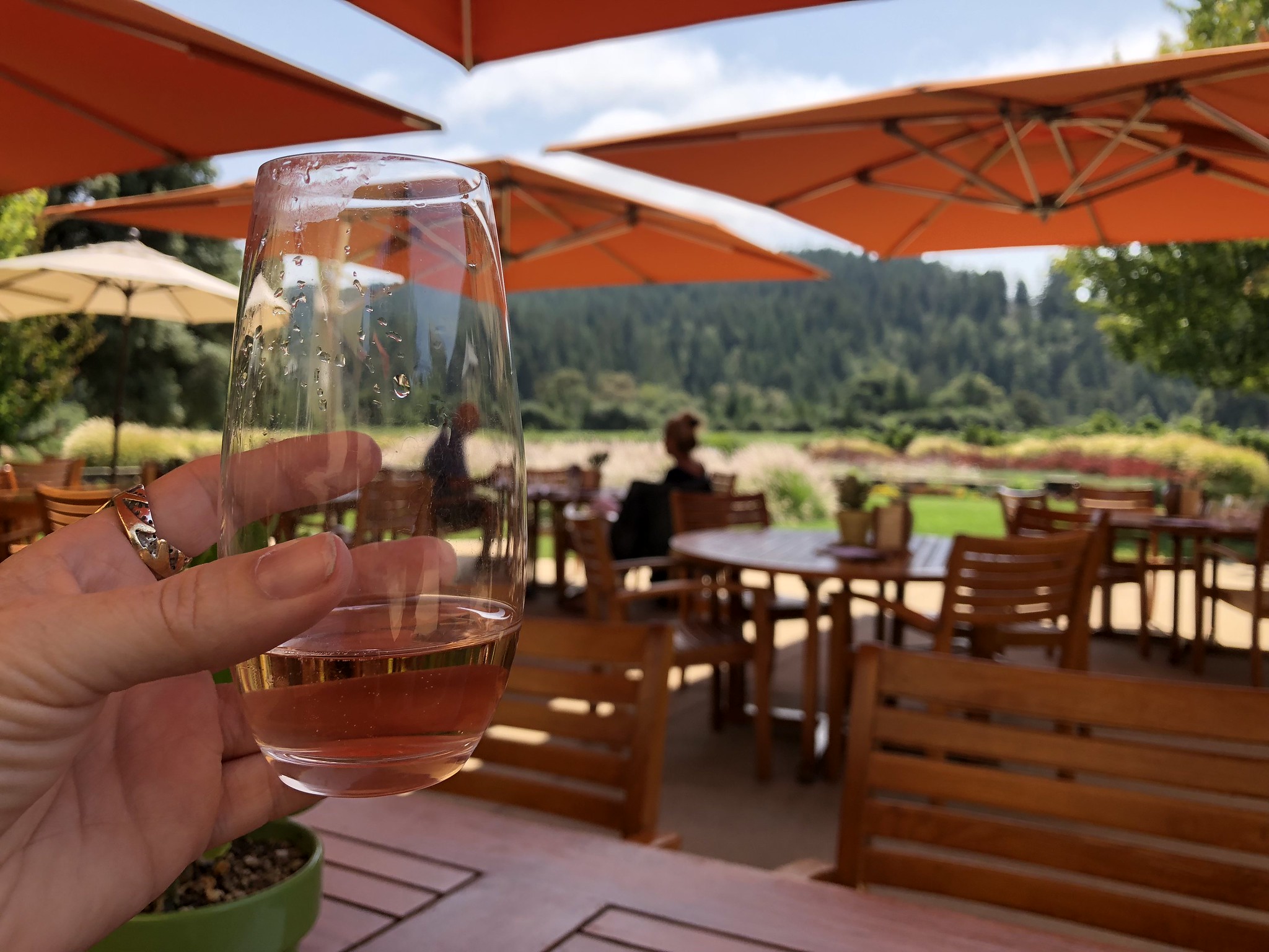 Crémant d’Alsace Rosé - Vins effervescents rosés - Photo de Sarah Stierch - 101Pairing.com