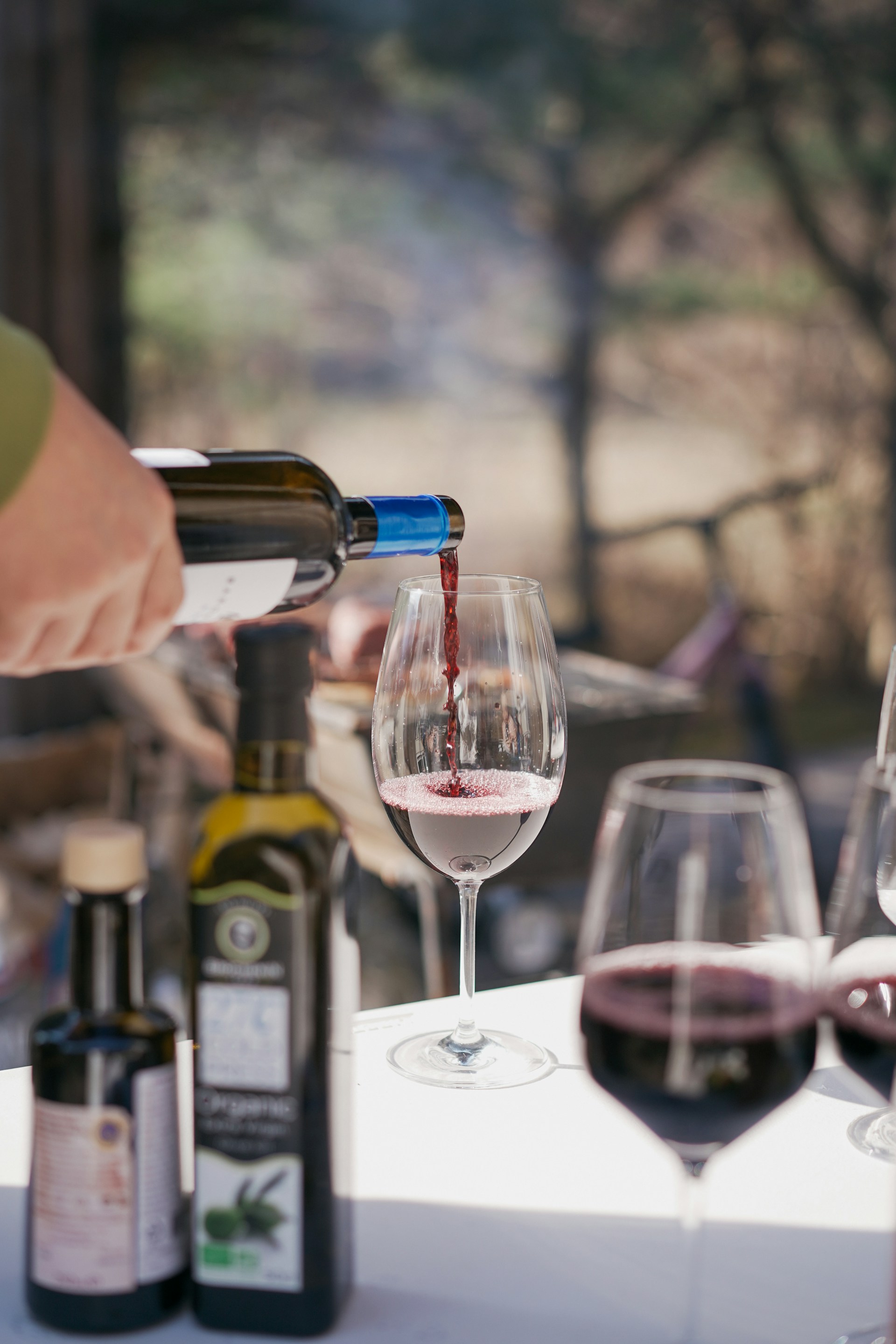 Chassagne-Montrachet Premier cru Ez Crottes Rouge - Vins tranquilles rouges - Photo de Manki Kim - 101Pairing.com