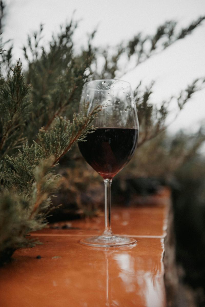 Côtes du Jura Rouge - Vins tranquilles rouges - Photo de Olga Solodilova - 101Pairing.com