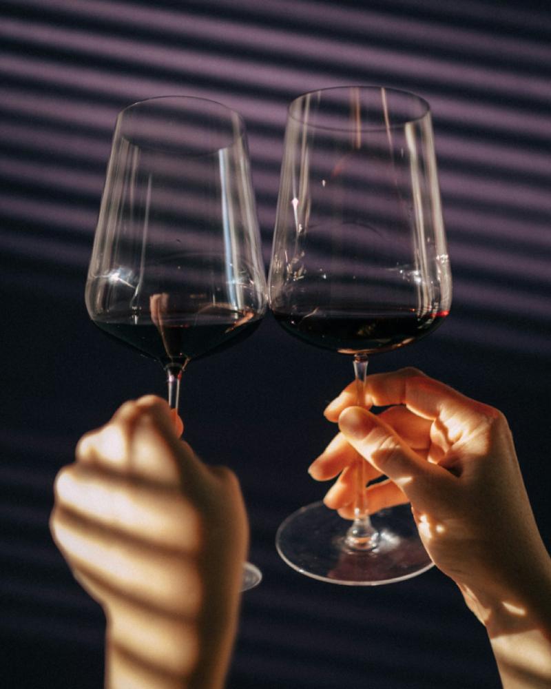 Fronsac - Vins tranquilles rouges - Photo de Florian Siedl - 101Pairing.com