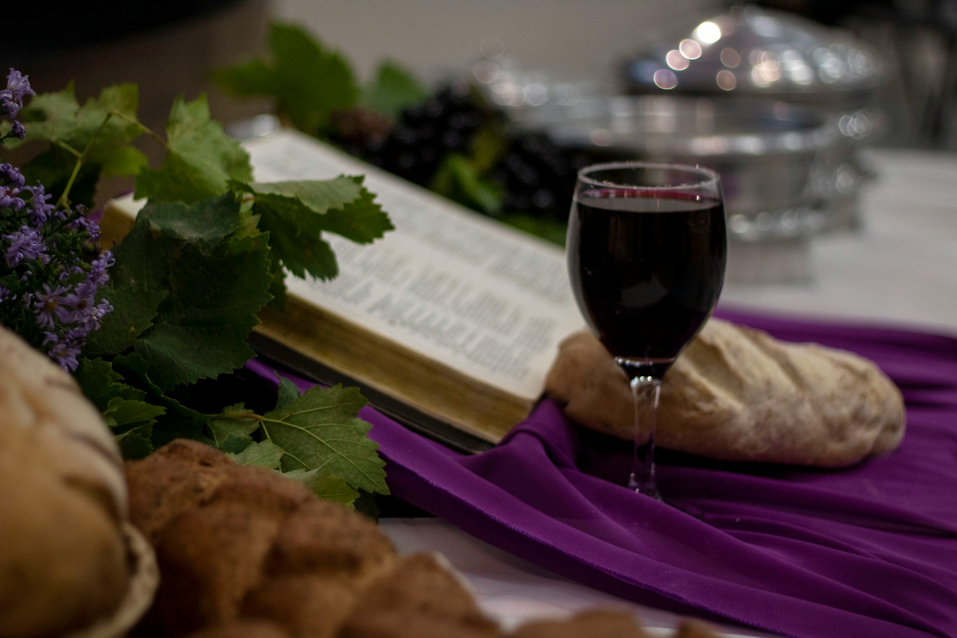 Côtes du Roussillon Villages - Vins tranquilles rouges - Photo de Valentina Fischer - 101Pairing.com