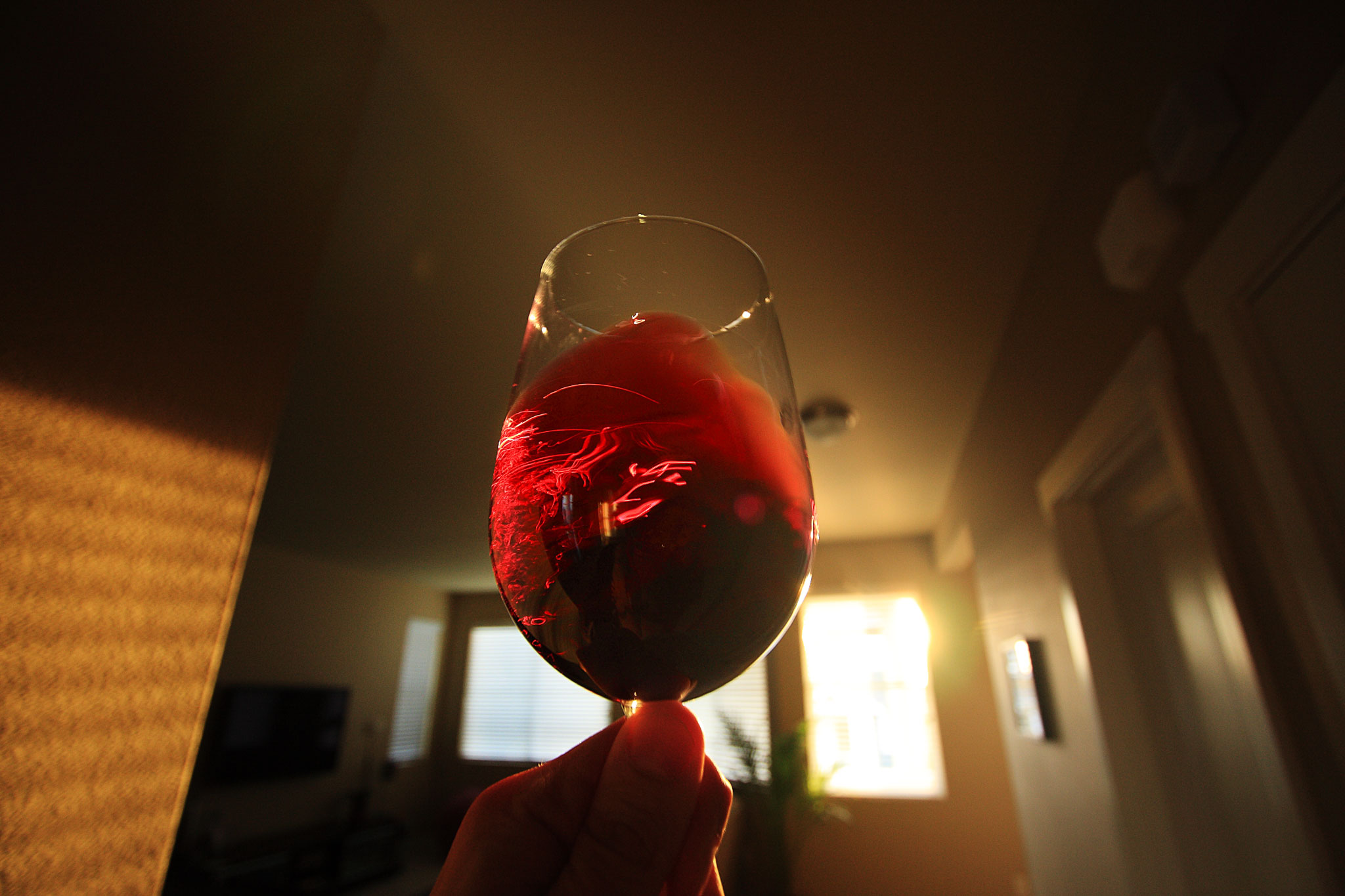 Vin de Savoie Rouge - Vins tranquilles rouges - Photo de Thales - 101Pairing.com