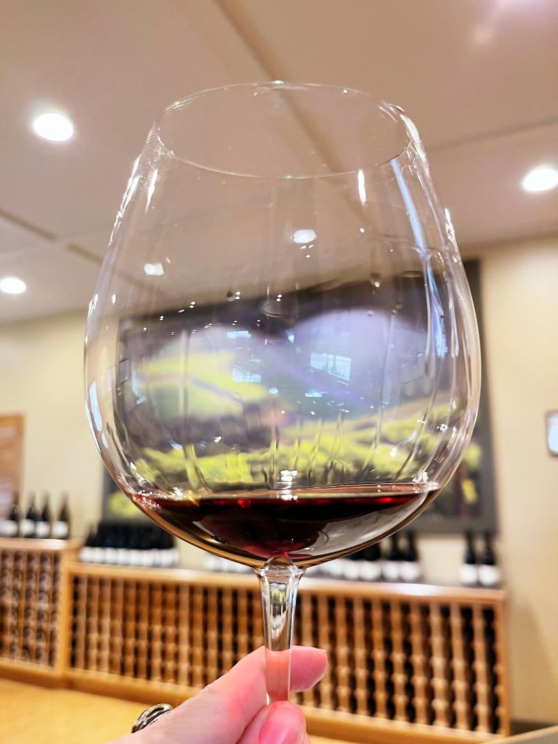 Bugey Pinot noir - Vins tranquilles rouges - Photo de Sarah Stierch - 101Pairing.com