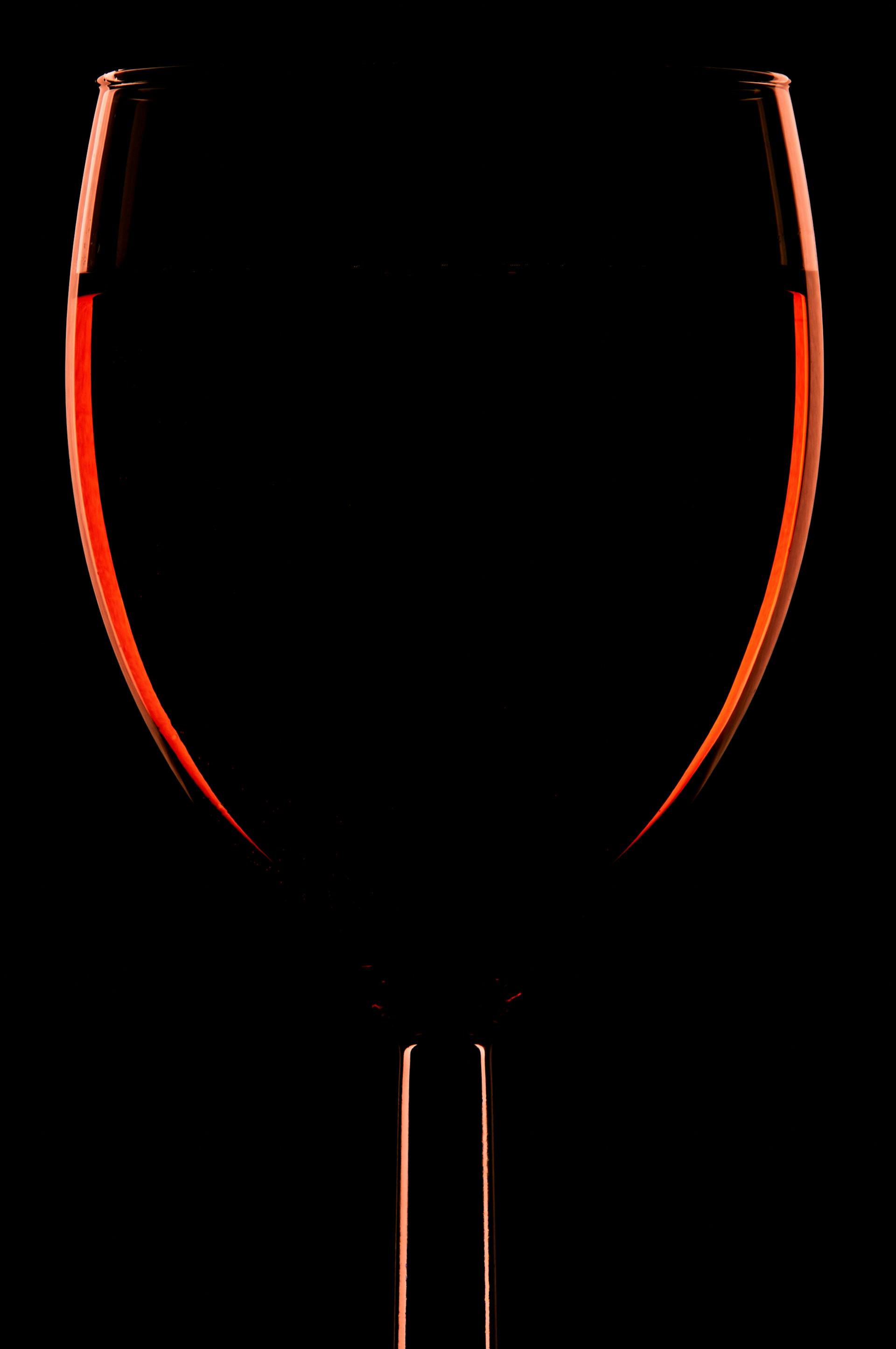 Alsace Côte de Rouffach Pinot noir - Vins tranquilles rouges - Photo de Edge2Edge Media - 101Pairing.com