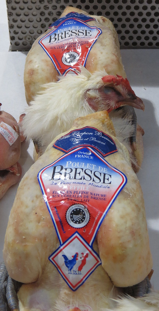 Poulet de Bresse sauce aux morilles - Photo de Stewart Holmes - 101Pairing.com