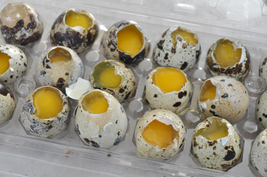 Oeufs de caille à la sauce verte - Photo de Didriks - 101Pairing.com