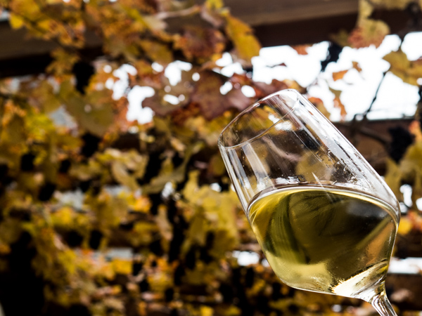 Alsace Blanc Vallée Noble Riesling - Vin Blanc - Photo de richardhe51067 - 101Pairing.com
