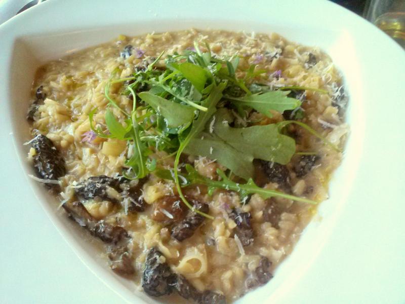 Risotto aux morilles