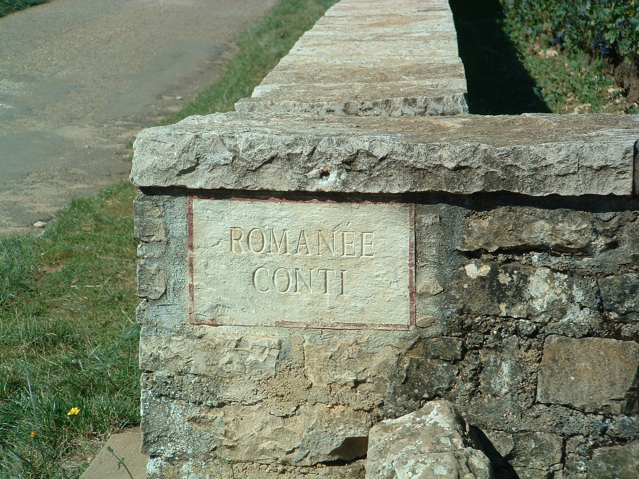 Romanée-Conti Rouge - Vin Rouge - Photo de Charley - 101Pairing.com