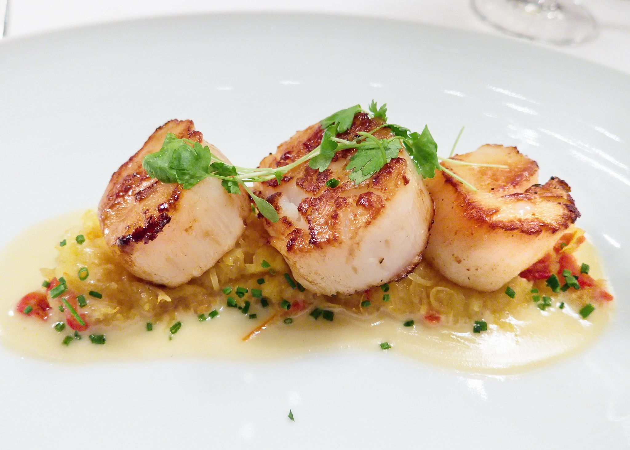 Coquilles Saint-Jacques sauce au beurre citronné - Photo de Ralph Daily - 101Pairing.com