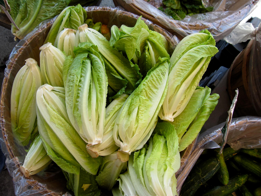 Salade romaine aux croûtons aillés - Photo de Liz Muir - 101Pairing.com