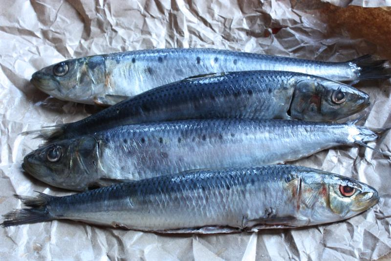 Sardinade - Photo de Andrea Nguyen - 101Pairing.com