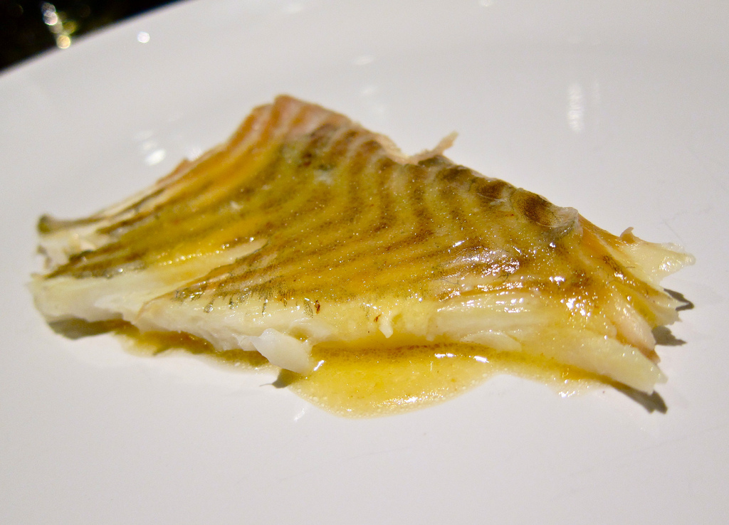 Turbot rôti à la truffe noire et sauce créme - Photo de Julian - 101Pairing.com