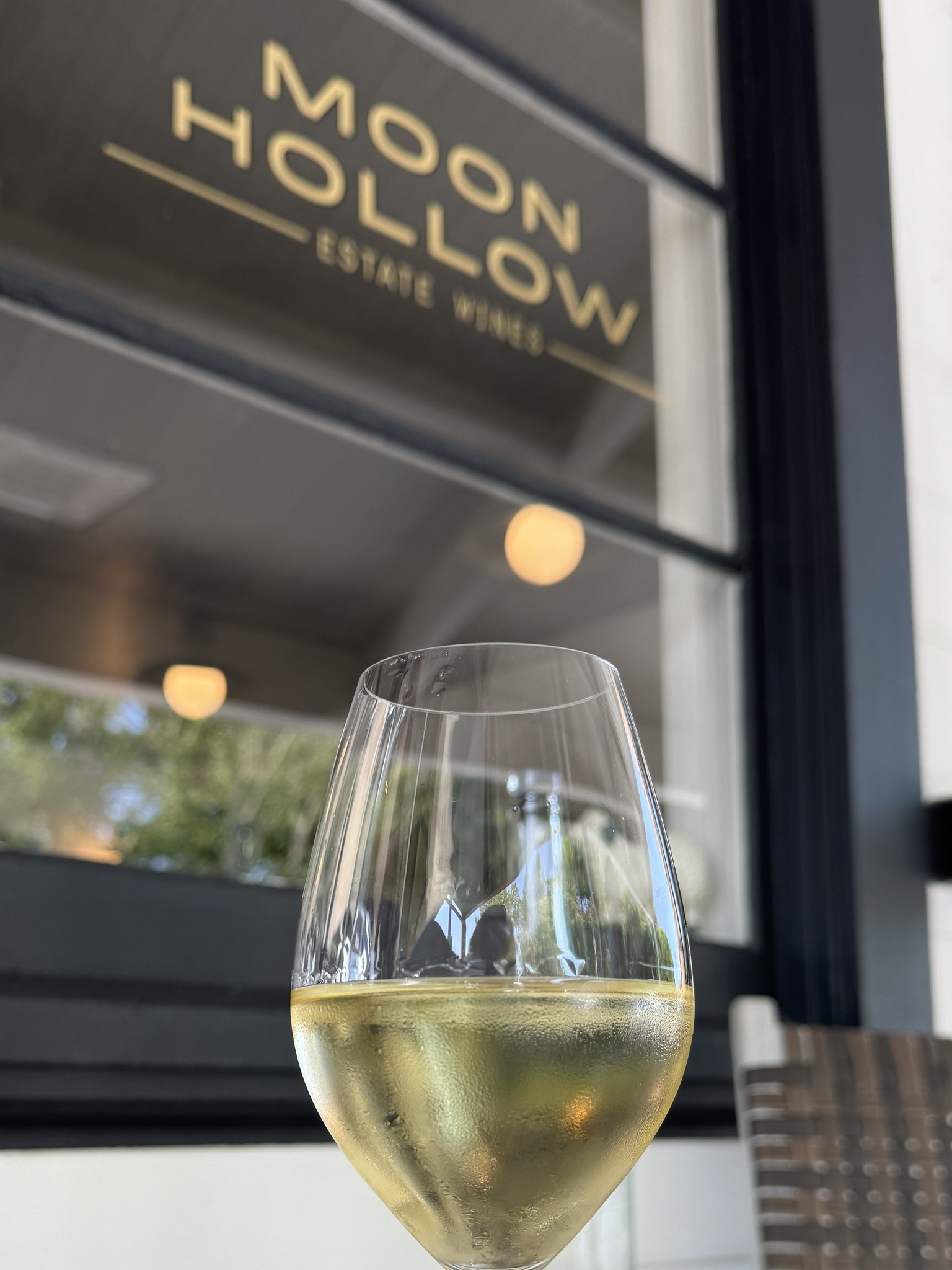 Bordeaux supérieur Blanc - Vin Blanc - Photo de Sarah Stierch - 101Pairing.com