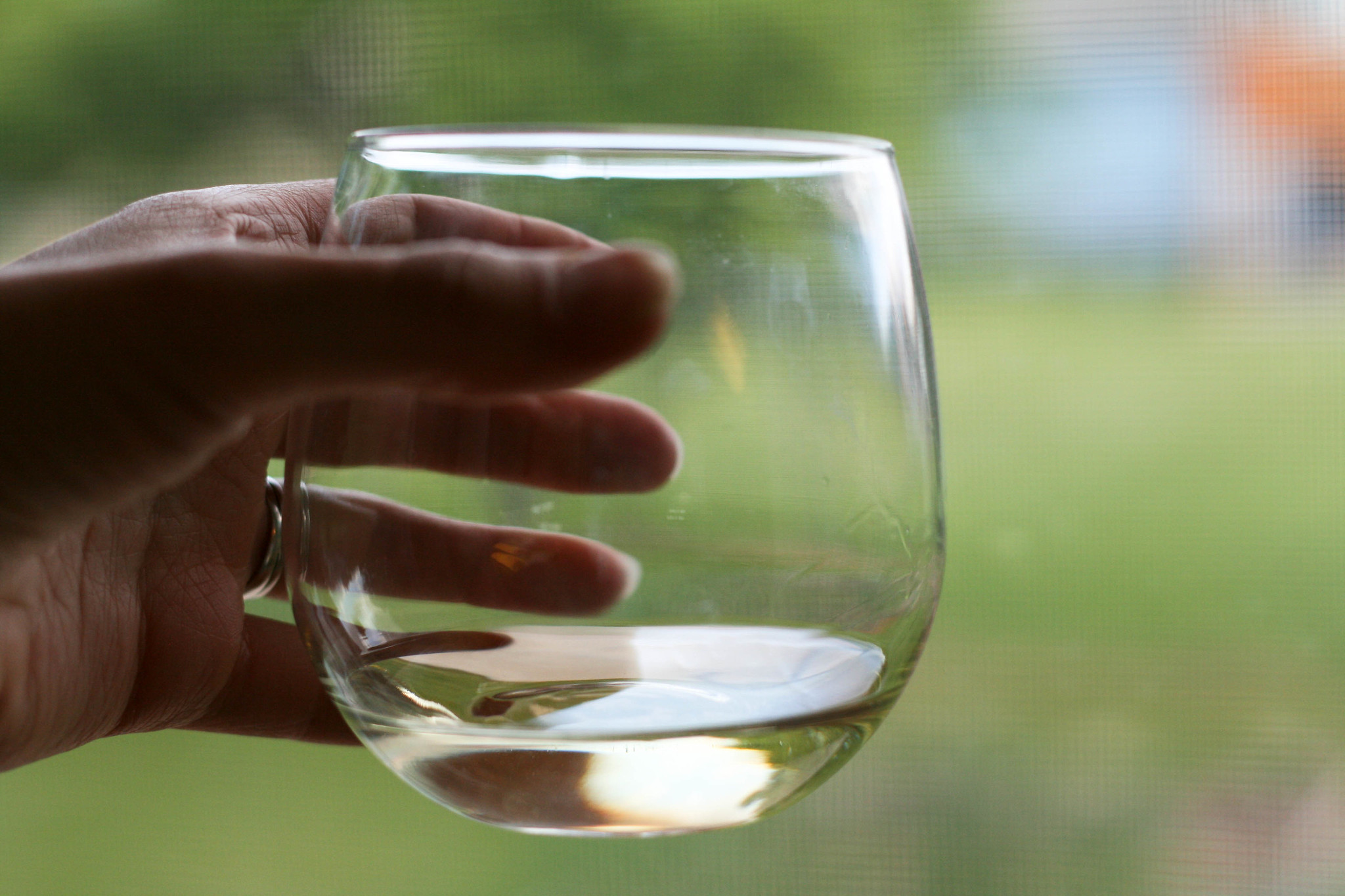 Alsace Blanc Côte de Rouffach Riesling - Vin Blanc - Photo de Jo - 101Pairing.com