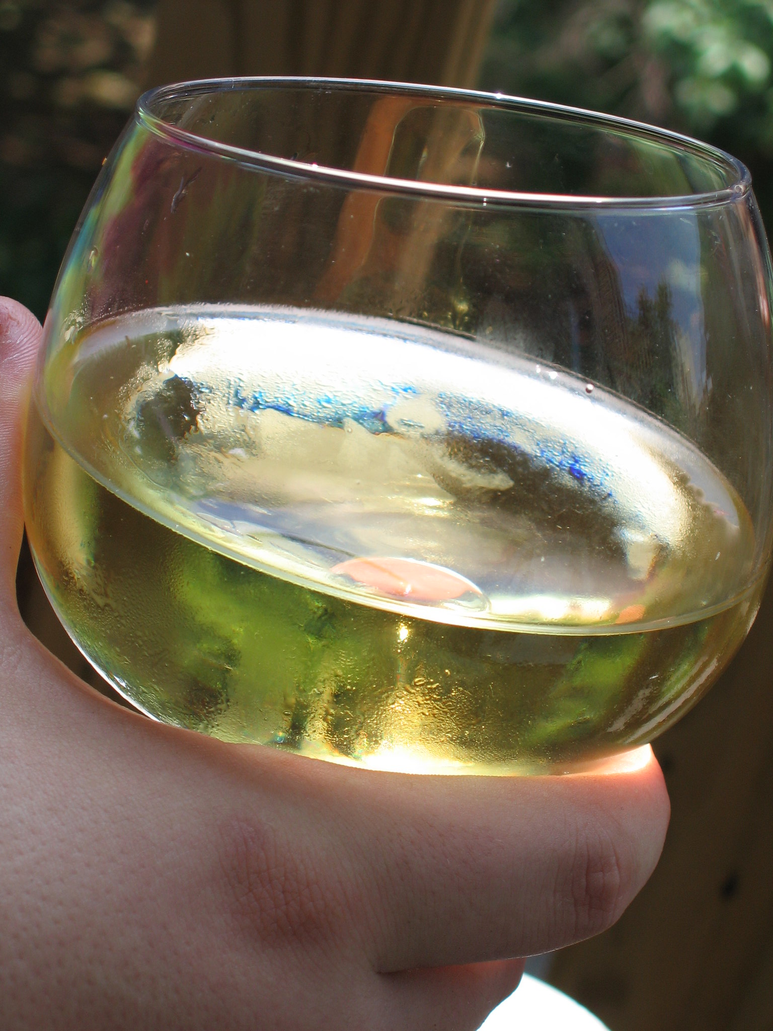 Charlemagne Blanc Grand cru - Vin Blanc - Photo de Quinn Dombrowski - 101Pairing.com