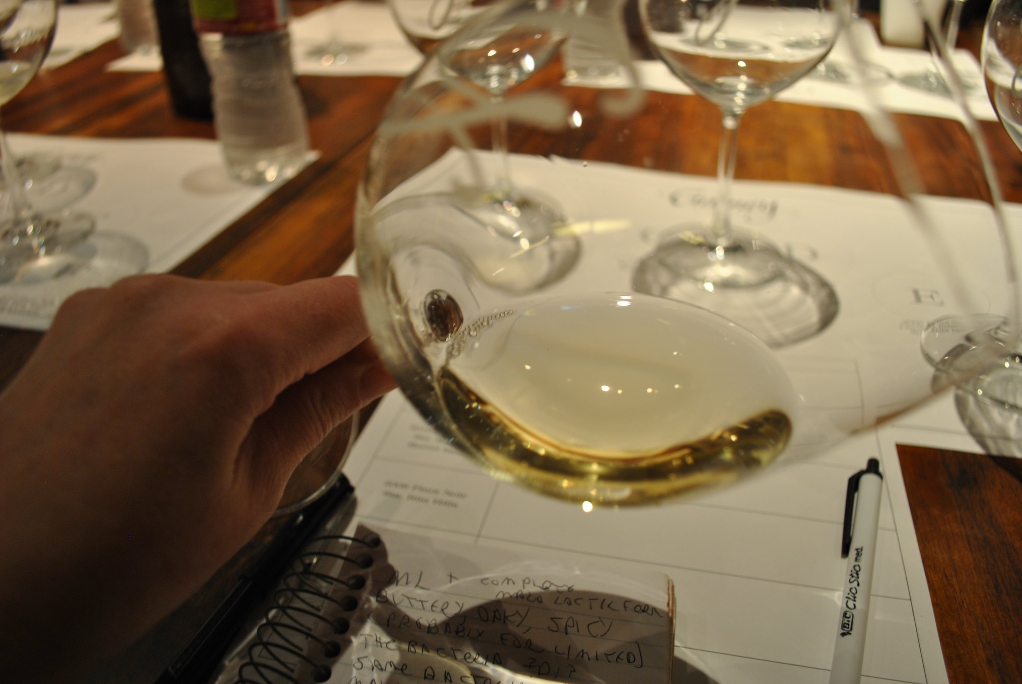 Nuits-Saint-Georges Blanc - Vin Blanc - Photo de Deidre Woollard - 101Pairing.com